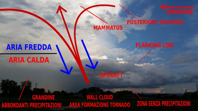 struttura super cella.jpg