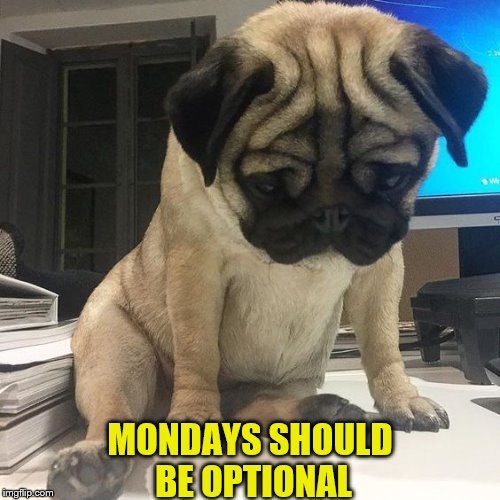 Monday Option.jpg