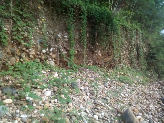 IMG-20170907-WA0000.jpg