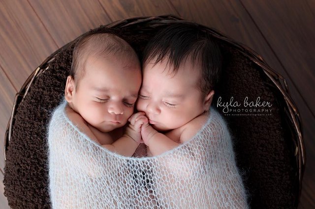 newborn-twins-nest-wrapped-Maple-Ridge-1.jpg