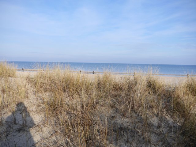 P1000560.JPG