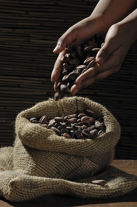 cocoa-beans-499970_960_720.jpg