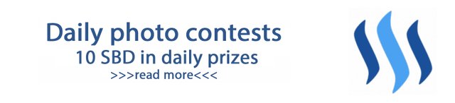 banner_contests_2.jpg
