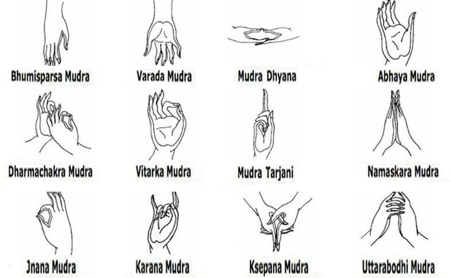 43 Mudras illuminati.jpg