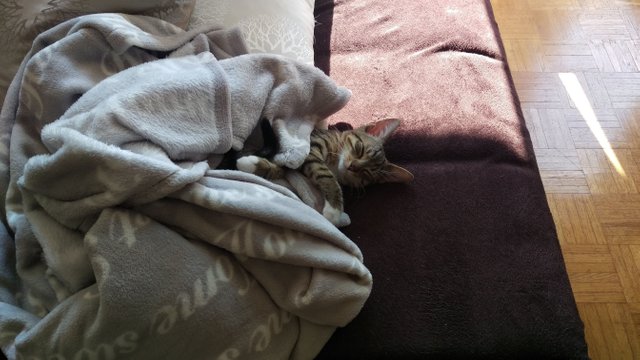 IMAG0615.jpg