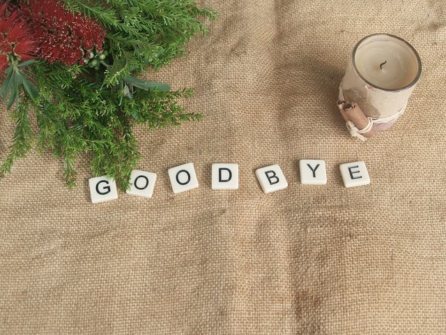 goodbye-2818190_960_720.jpg