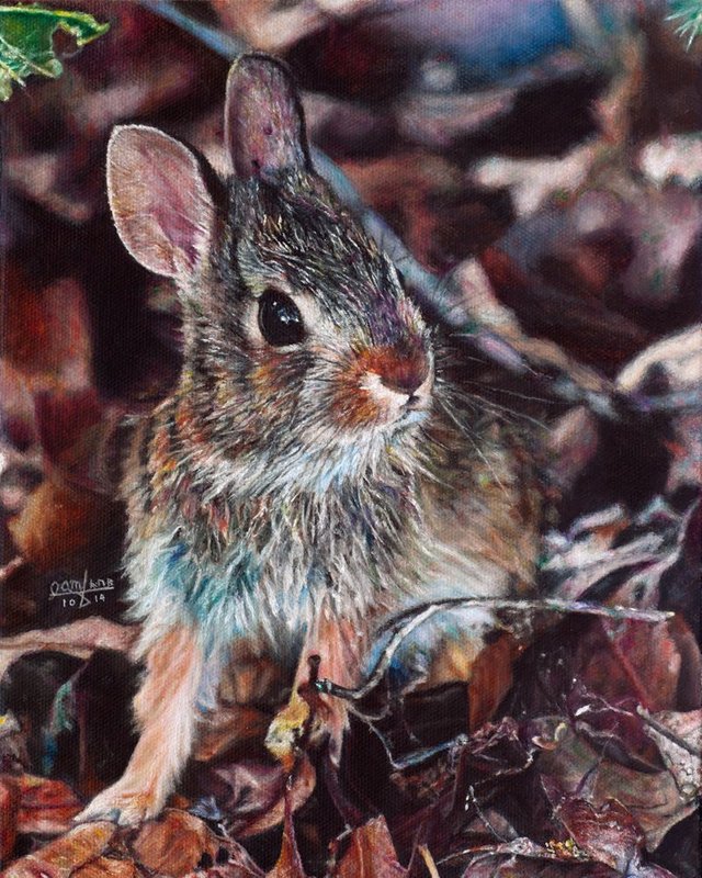 Rabbit in the Woods painting