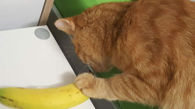 20171214_225629.jpg