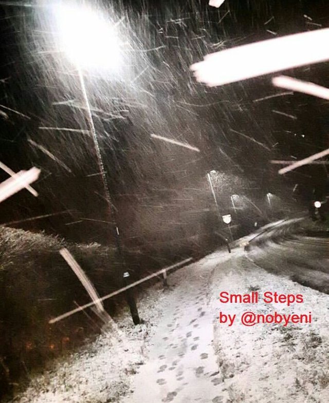 small steps picture.jpg