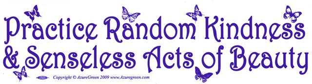 S646-Practice-Random-Kindness-and-Senseless-Acts-of-Beauty-Bumper-Sticker-Decal.jpg