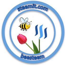beesteem logo klein.jpg