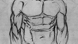 anatomy-thumbnail.jpg