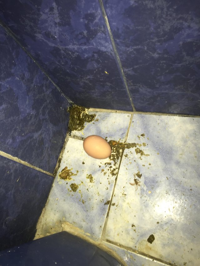 unnamed.jpg