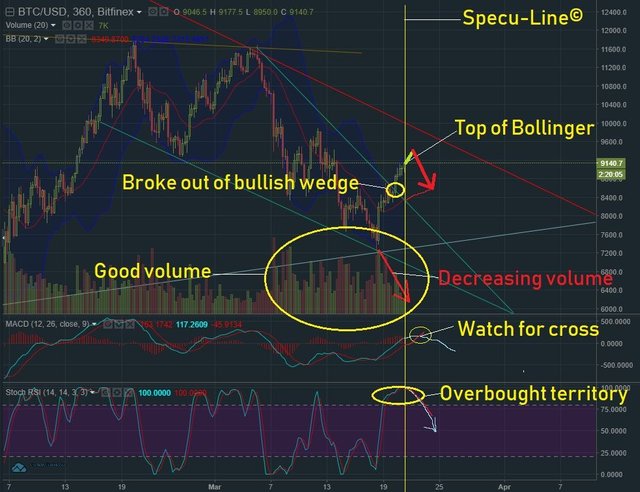 March 21 BTC T&A.jpg