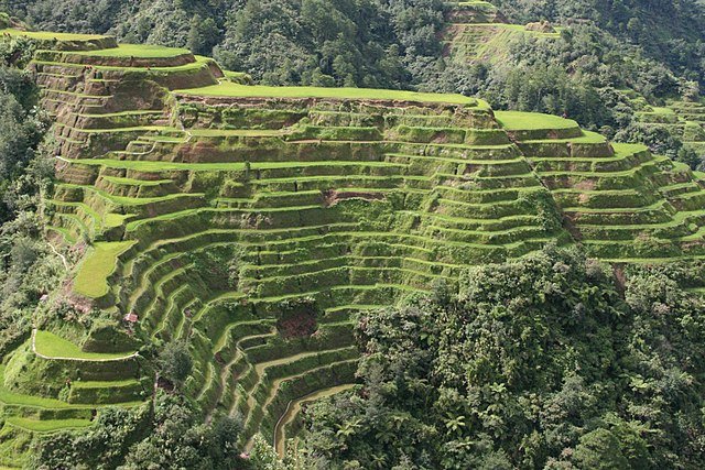 640px-Banaue-terrace.JPG