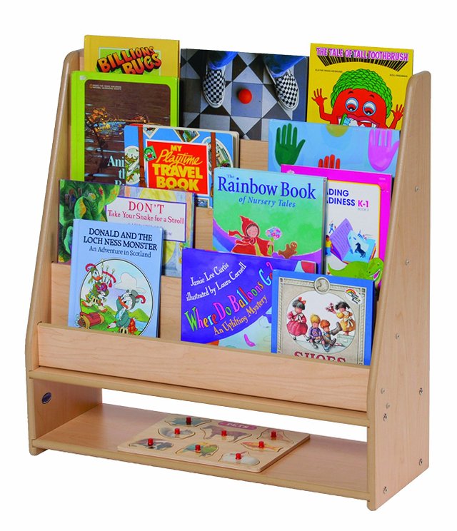 toddlesr book case.jpg