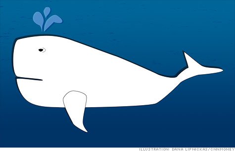 white-whale.top.jpg