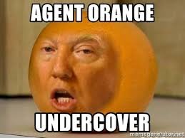 Agent Orange.jpg