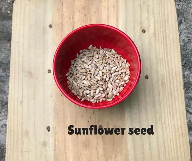 Sunflower seed.jpg