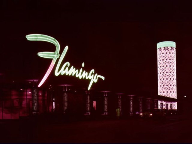 flamingo3.jpg