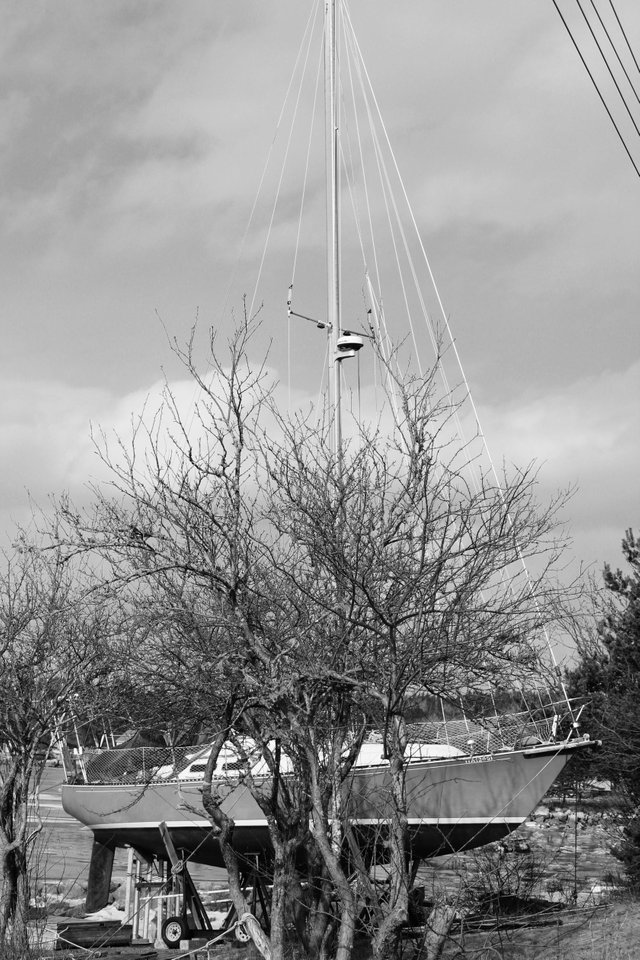 black and white ship lyndsay bowes.jpg