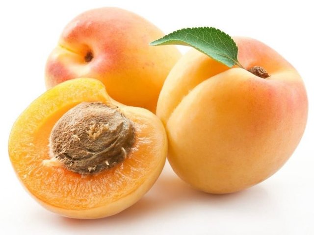 Apricot3.jpg