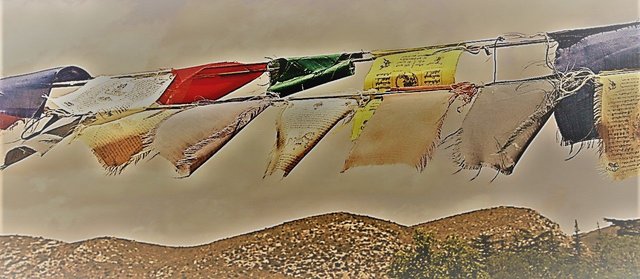 pregant-al-vent-1309776-1279x852 (2).jpg