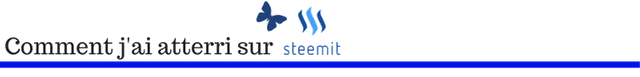 07 Comment jai atterri sur Steemit fr.png