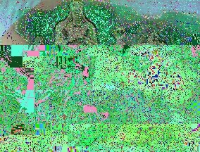 20170422153312_glitch.jpg