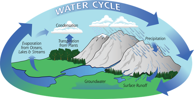 Water-Cycle-Art2A_medium.png