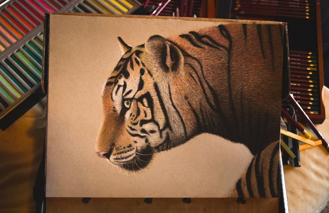 Bengal Tiger WIP 2 - Casey Neal Artwork.jpg