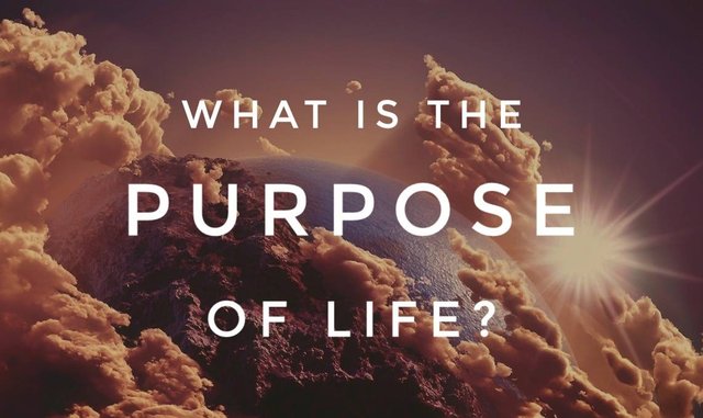 What Is The Purpose Of Life.jpg