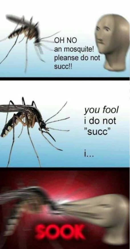 MOsQUite-shaL-sOoK.jpg