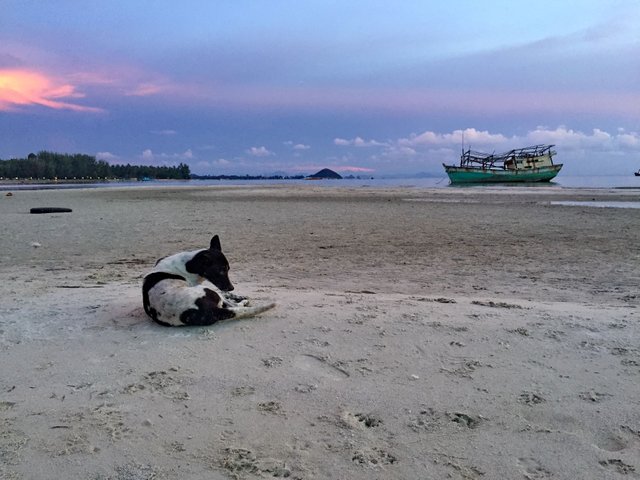 iPhone 6 May Samui Sunsets 464.JPG