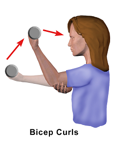 Exercise_Bicep_Curls.png