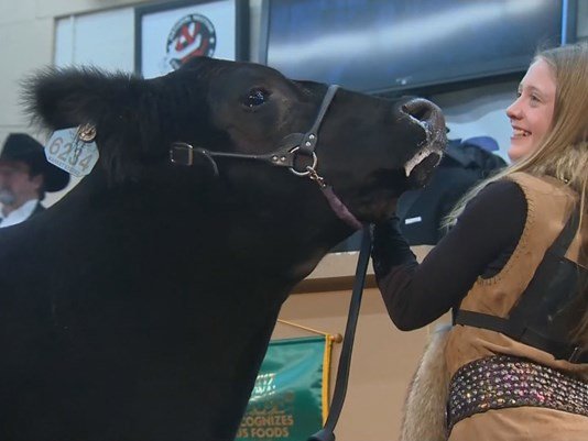 women at livestock auction.jpg