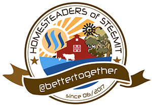 What Does The Homestead Badge Look Like