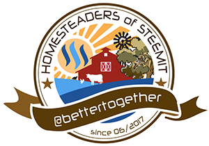 bettertogether_homesteadbadge_1680x8400.png