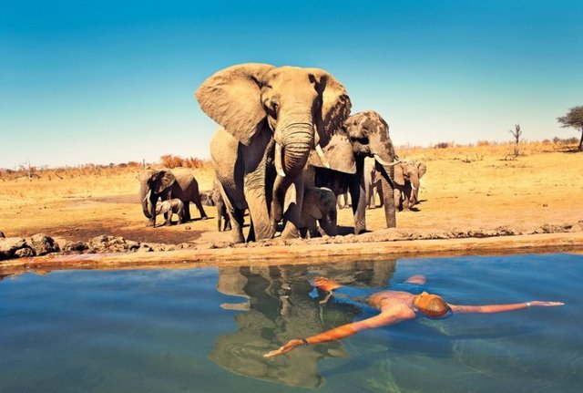 somalisa-camp-pool-elephants-hwange-national-park-zimbabwe.jpg