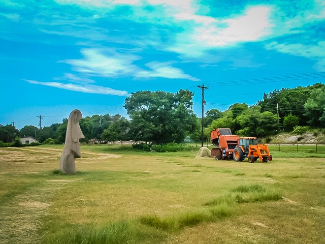 07_18_04_Easter_Island_Statues_(18).jpg