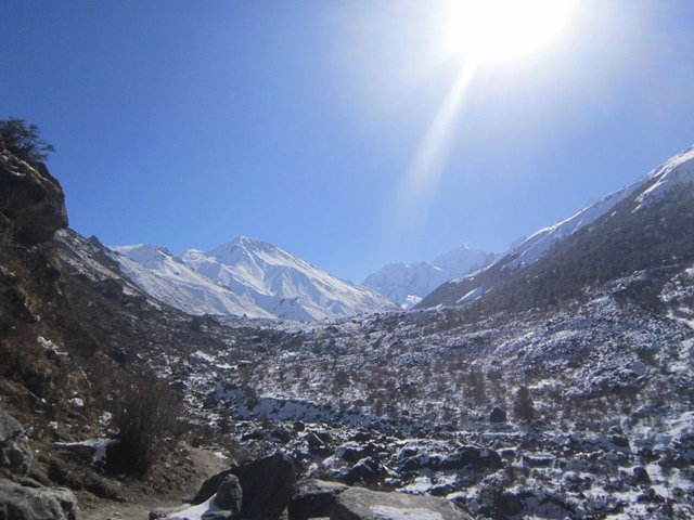 langtang4.jpg