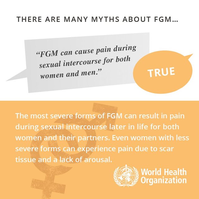 infographics-FGM-7.jpg