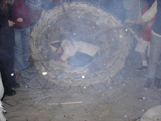 Bird in a basket.jpg