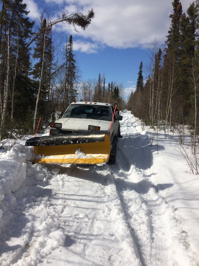 The Ultimate Dream Living In The North Woods Cabin The Big Haul