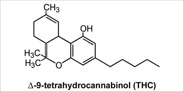 THC.jpeg