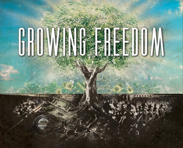 growing_freedom_preview10.jpg