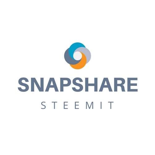 SNAPSHARE LOGO.jpg