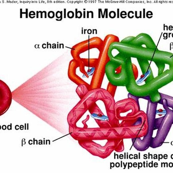 high-hemoglobin-count-good-1.1-800x800.jpg