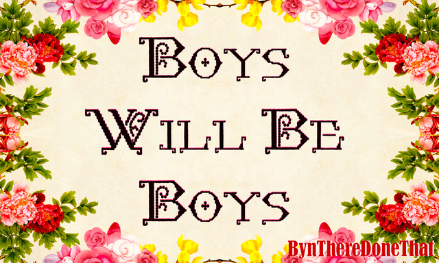 boyswillbeboys.png