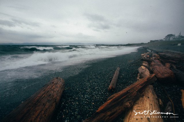 Clover Point-8.jpg